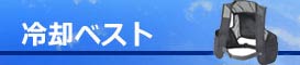 pxXg