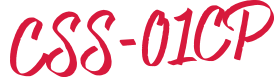 CSS-01N