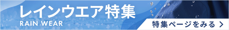 ���C���E�F�A���W