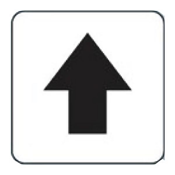 ���̖��X�e�b�J�[�p�@���@�S�T�U�|�R�P�@�T���P�g