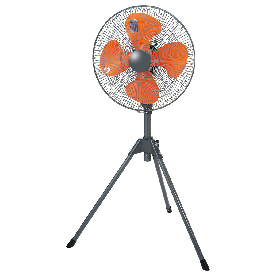 �X�^���h��@�@�n�o�e�|�S�T�r�f�@�S�T����