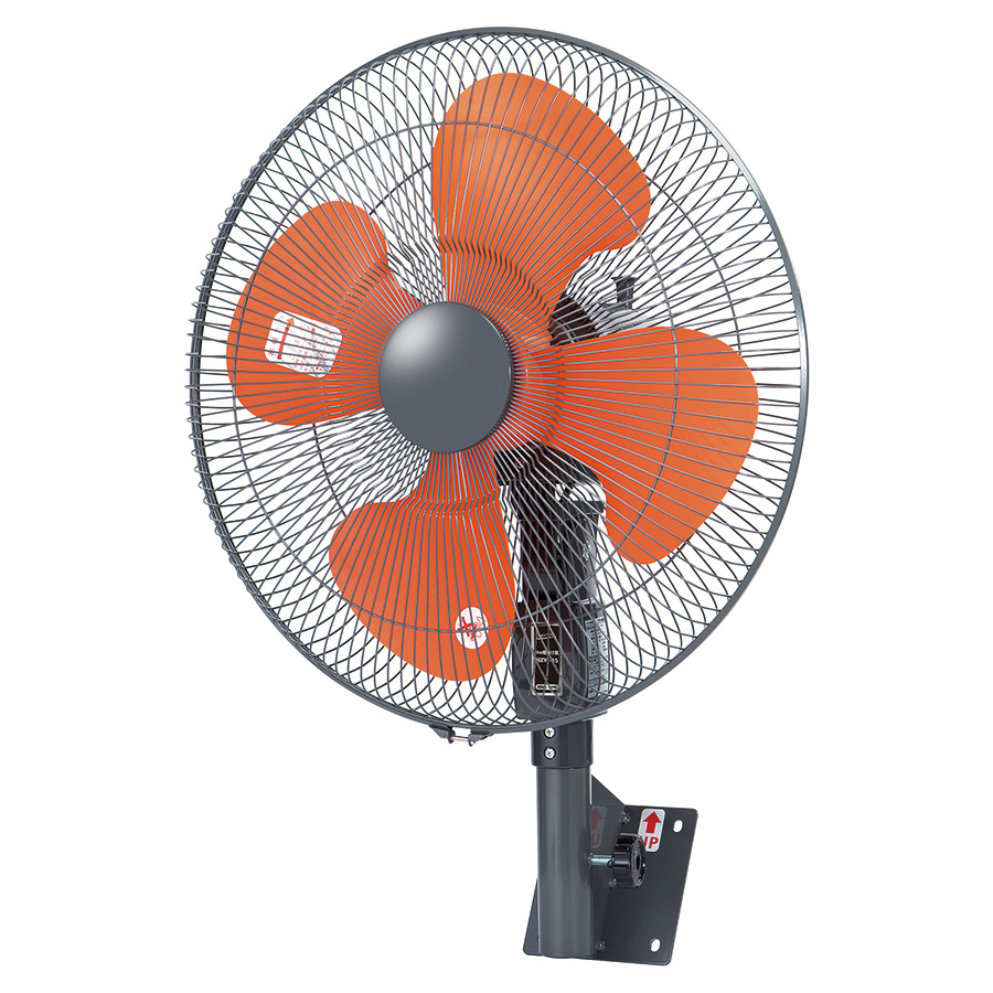 �����H�Ǌ|����@�n�o�e�|�S�T�v�f�@�S�T����