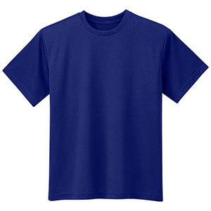 �h���C���b�V���@�����s�V���c�@�s�r�P�V��@�l�C�r�[