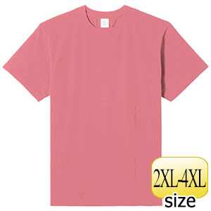 �T�D�U�I���X�n�C�O���[�h�R�b�g���s�V���c�@�l�r�P�P�U�P�n�|�T�P�X�@�X���[�L�[�s���N�@�Q�w�k�`�S�w�k