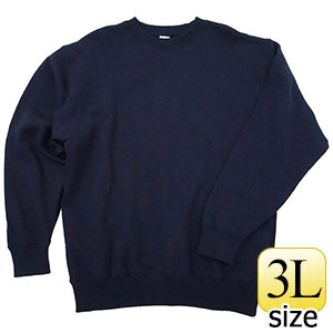 �P�O�I���X�g���[�i�[�i���p�C���j�@�l�r�Q�P�R�U�n�|�W�@�l�C�r�[�@�R�k