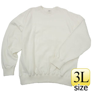 �P�O�I���X�g���[�i�[�i���p�C���j�@�l�r�Q�P�R�U�n�|�P�T�@�z���C�g�@�R�k