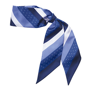 スカーフ　ＥＡＺ−３９０　６　ブルー