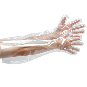 ϓ߃Ci[܁@youwh܁@O@`POOOO@TO