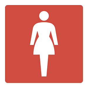 �g�C���v���[�g�@�s�k�s�|�O�Q�S�@�����p�@�Q�O�U�P�Q�S