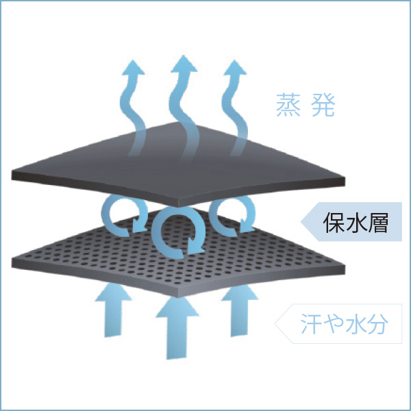 ��w�\���̐��n